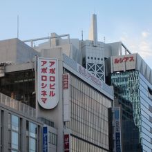見たい映画がみえます By Syaatan あべのアポロシネマのクチコミ フォートラベル