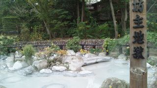 泥のポコポコが可愛いです（笑）