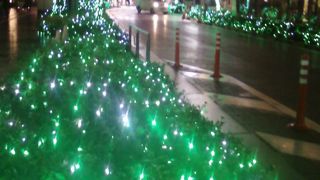 緑が基調です。