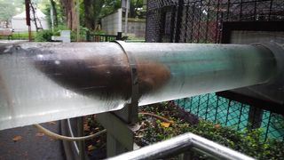 アクセスも便利！東京の動物園といえばここ