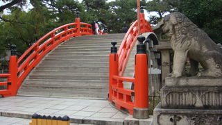 見どころたくさん