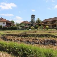 部屋の前の景色