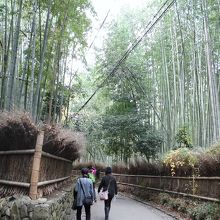 気持ちよい通りです