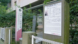 「海の東郷」　日露戦争に貢献！