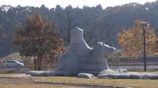 大きな池のある地元向けの公園