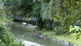 広い公園には湖も、カモも、馬の散歩も、サーフィンも！