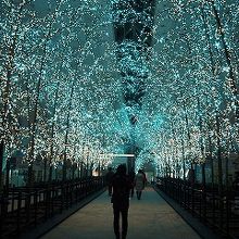 美しいイルミネーション