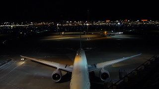 夜も良かったです