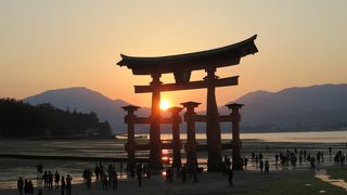 いつみても違う