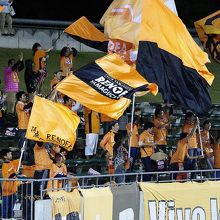 サポーターの応援風景