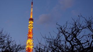 やっぱり東京のシンボルです！