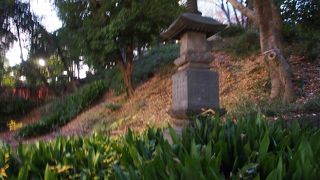 まだ調査が進んでいないようです