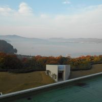 天橋立が見えました