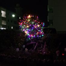 石垣島ホテルアダン、この時期お決まりのクリスマス電飾。