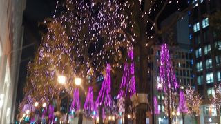 今年はさらにLEDが増えていました