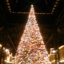 ディズニーランドのツリーはやっぱり素敵