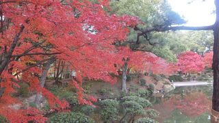 紅葉が綺麗でした