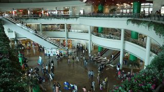 南国情緒たっぷり！