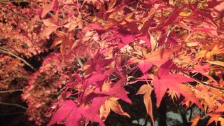 遅い時間までやっています。