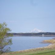 白鳥が飛来するそうです