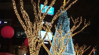 イルミネーション