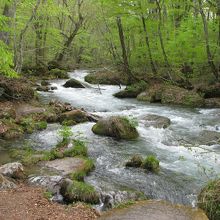 まだまだ寒かった