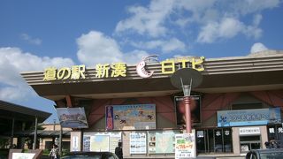 白エビや魚が泳ぐ水槽があります