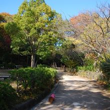 歩きやすい道がつづきます