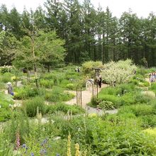 【風のガーデン】の風景です。