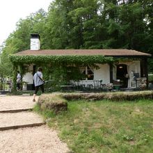 ドラマに出た[グリーンハウス]懐かしいと聞こえて来ます。