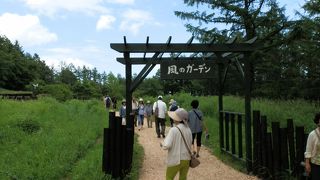 北海道ガーデン街道を行く、風のガーデン?
