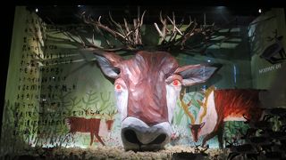 クリスマス一色