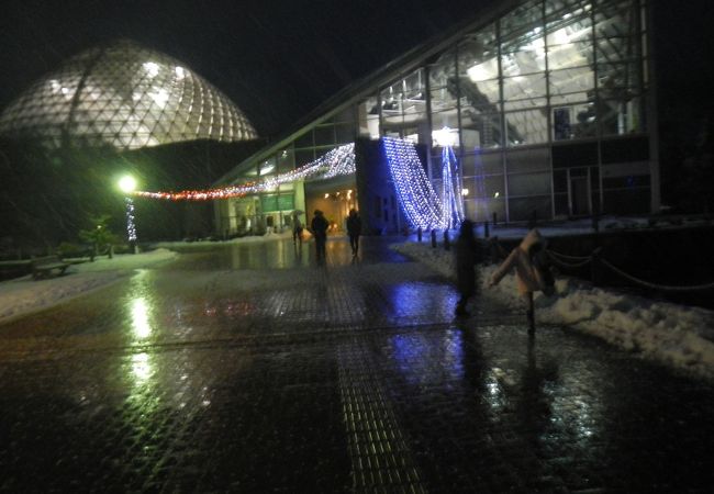 新潟県立植物園 クチコミ アクセス 営業時間 新津 白根 フォートラベル 新潟県立植物園 クチコミ アクセス 営業時間 新津 白根 フォートラベル