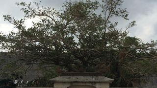 「すいむいうたき」