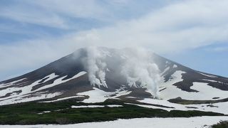 結構高くまで登ります