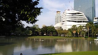 大きな市民公園