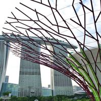 ガーデンズバイザベイ越しに。