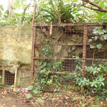 近くにあったもう１つの壕