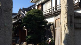 谷中散策の際に