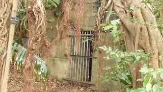 観光客が訪れることの少ない首里城のもう１つの顔