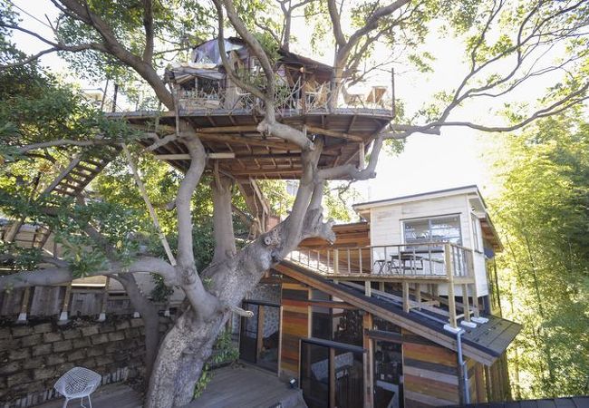 ツリーハウスから横浜の街を見下ろしてリラックス