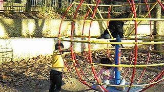 「ぶた」と「りす」