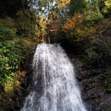 千葉 養老渓谷 神秘的な幻の滝 小沢又の滝 By Comestai 幻の滝 小沢又の滝 のクチコミ フォートラベル