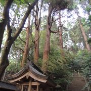 巨木に包まれて静かなところ　&#27125;觸神社