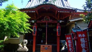 長照山陽運寺　（日蓮宗、新宿区左門町）