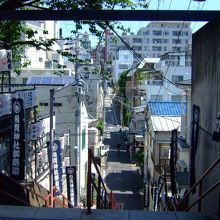 向こうに見えるのが　東福院坂　スリバチビューポイント