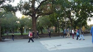 ダウンタウン中心部の広大な公園