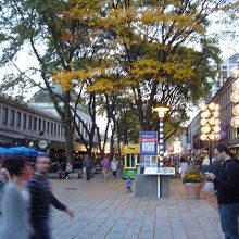 散策が楽しいエリアです。