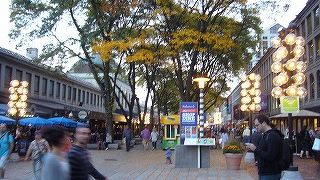 歴史エリアにある雰囲気良いショッピングエリア