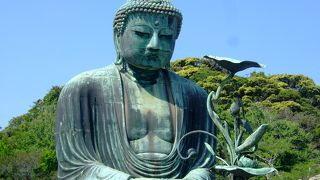 大異山高徳院　（浄土宗、鎌倉市長谷）